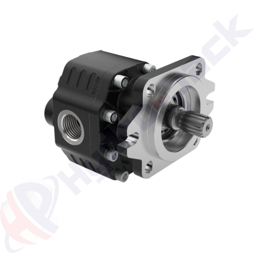 SAE-C-14T-GANI-87-BD Group 40 Cast Iron Pump
